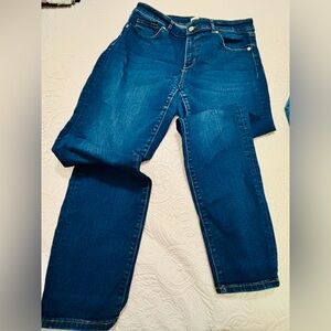 LOFT Midrise Curvy Jeans in Classic Blue Denim